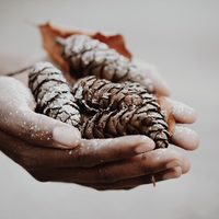 Bon cadeau LANATI
