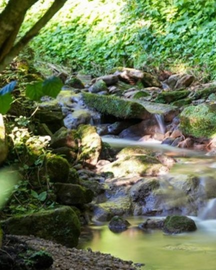 Nature